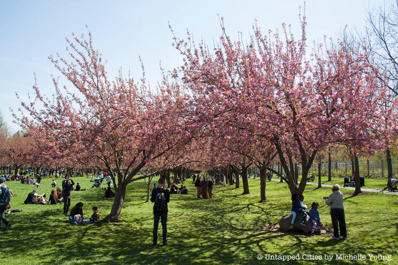 Why we love spring in New York City (Image-2)